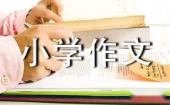 中国思维要打破传统规则小学作文