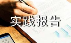 2017电大汉语言本科社会实践报告范文
