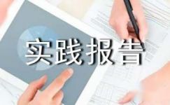 2017镐京社会实践报告范文