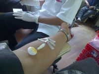 无偿献血志愿者暑假社会实践报告