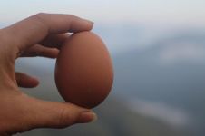 鸡蛋吃多居然也中毒？