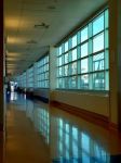 普林斯顿校医院的走廊