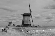荷兰的风车和中国的康乾盛世
