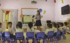 【实用】幼儿园社会教案模板合集八篇